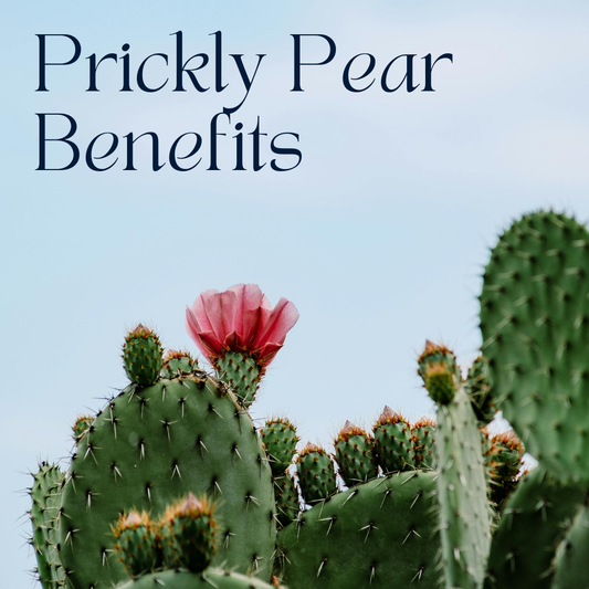 Prickly pear cactus with fruits and flower, on the background the bluesy